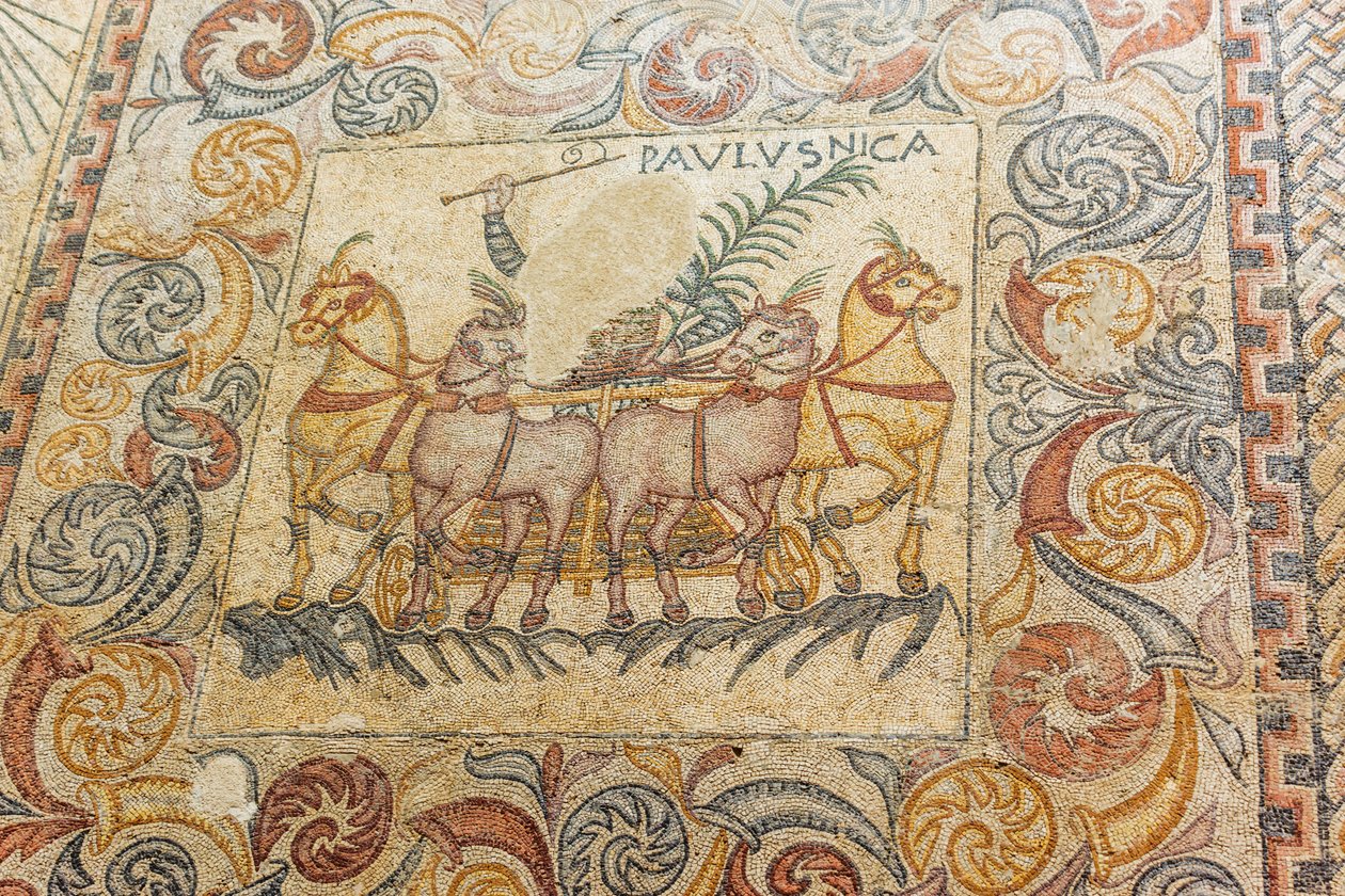 Mozaiky zobrazující vozataje jedoucí na čtyřech koních od Roman Roman