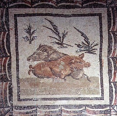 Divoká prasata (mozaika) od Roman Roman