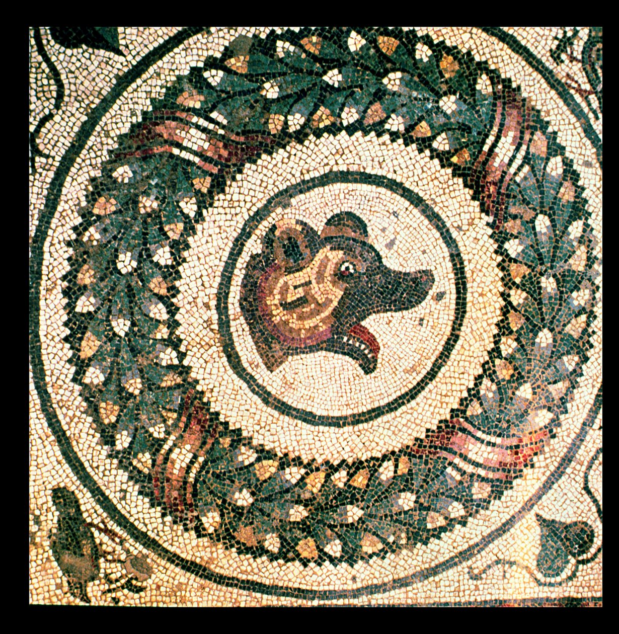 Hlava medvěda, římská mozaika, počátek 4. století (mozaika) od Roman
