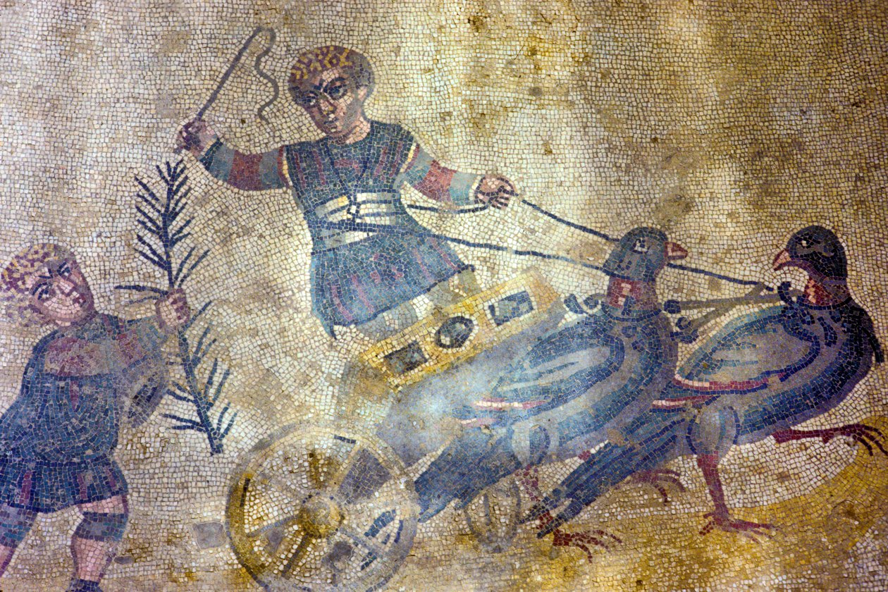 Ptačí vozataj (mozaika) od Roman