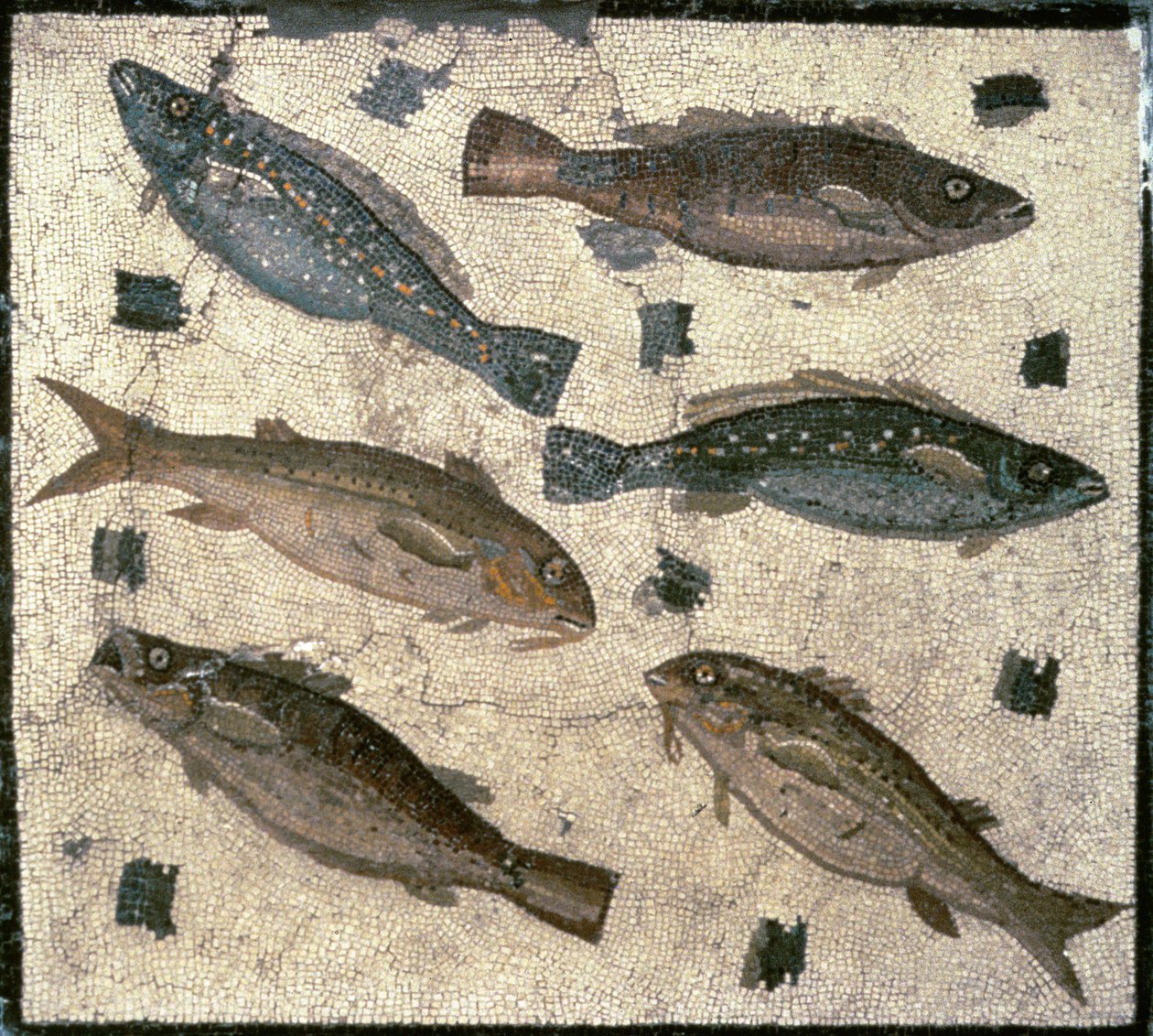 Ryby (mozaika) od Roman