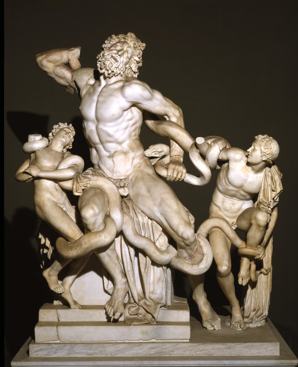 Laocoon a jeho synové (mramor) od Roman