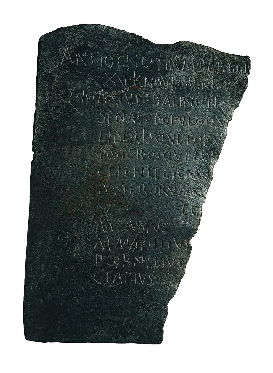 Rada nemocnic od Roman
