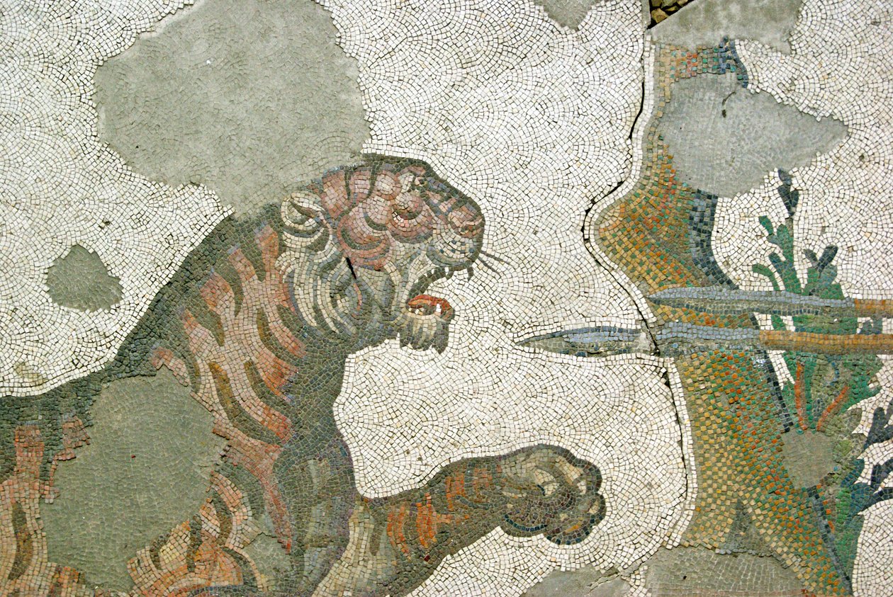 Neznámý obrázek od Roman