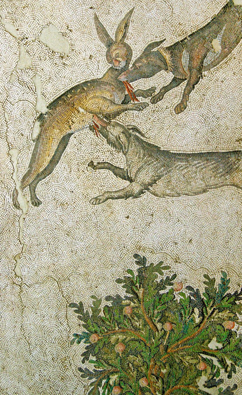 Neznámý obrázek od Roman