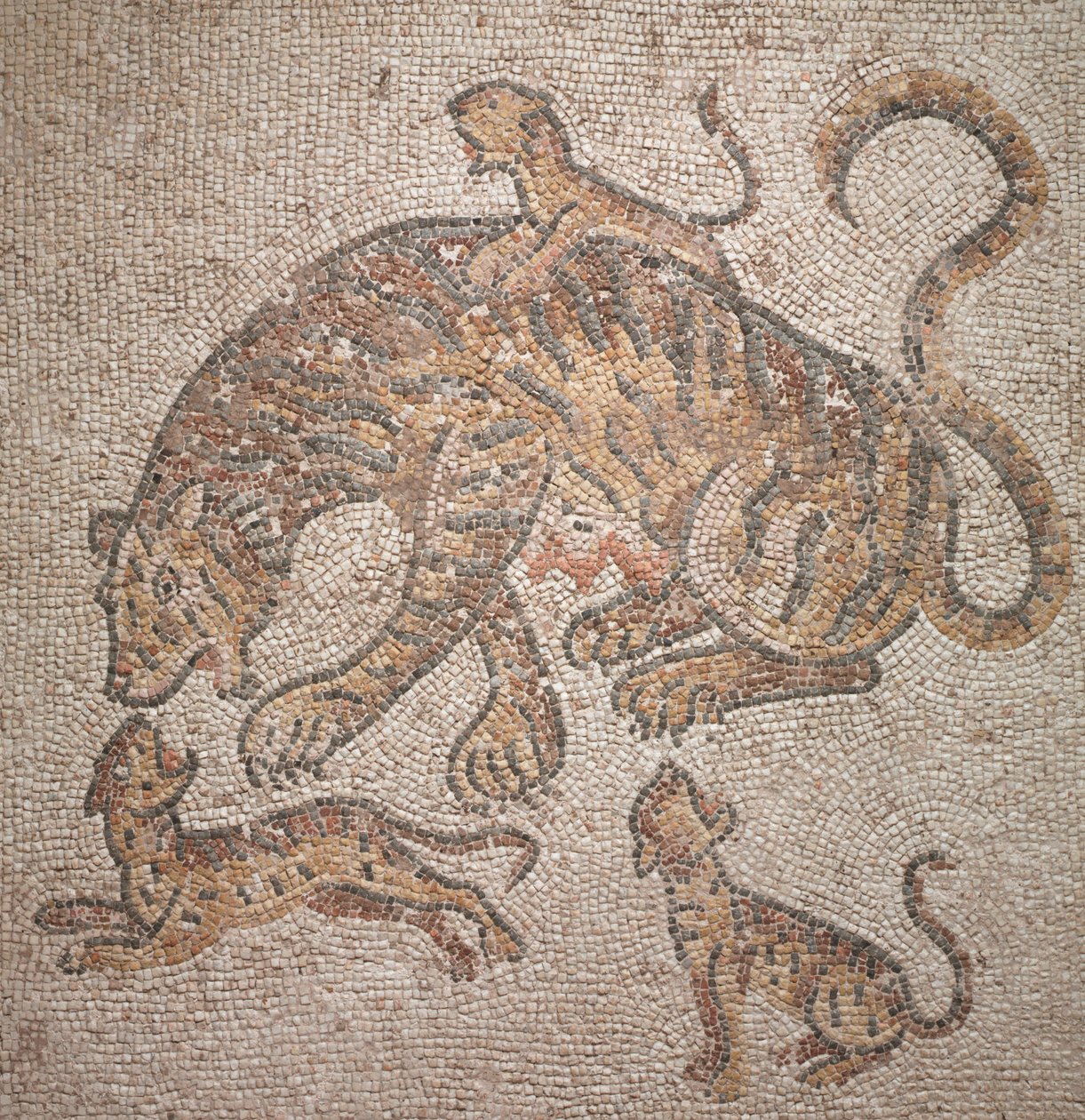 Tygřice a mláďata, 300. léta od Roman Imperial Period