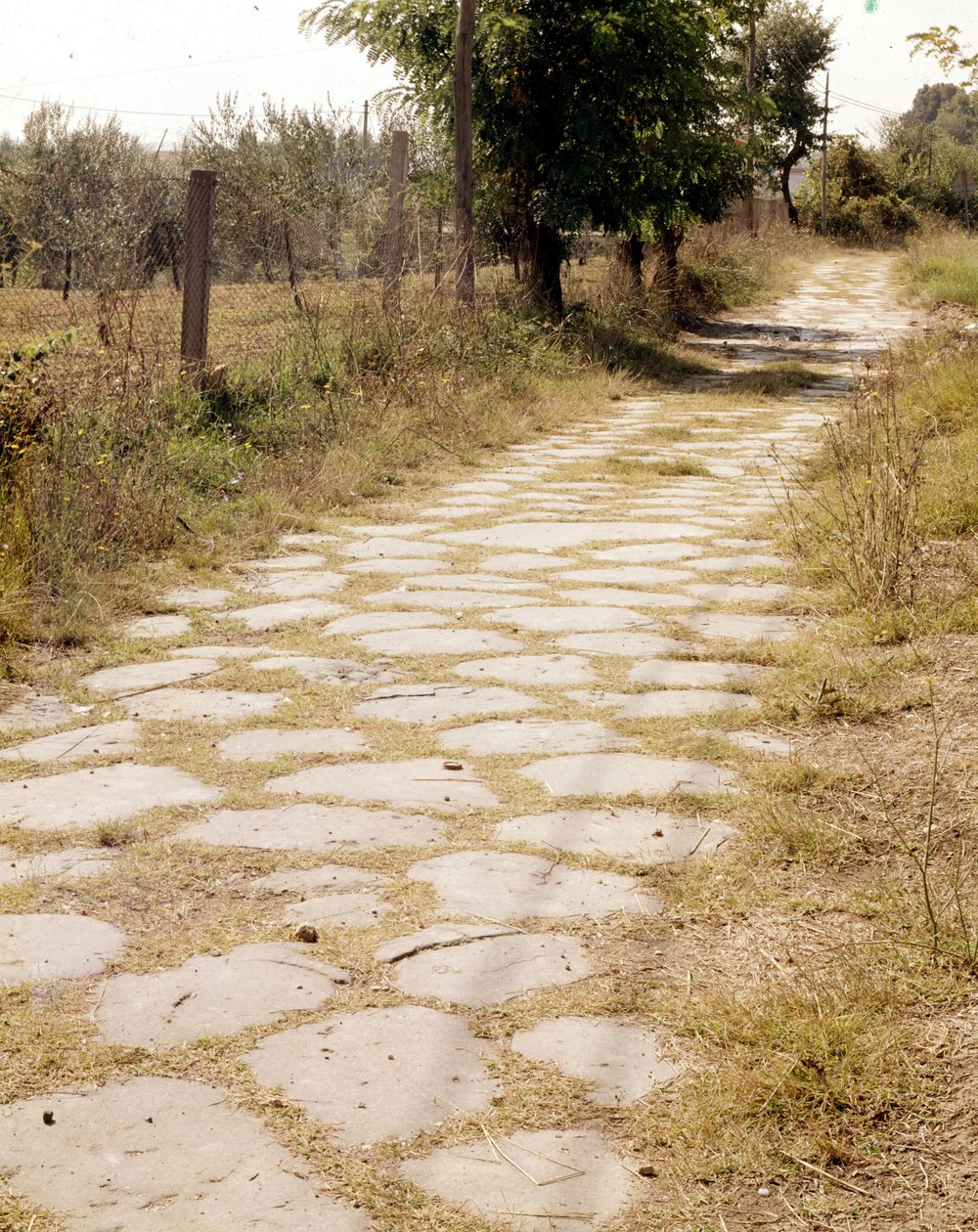 Via Flaminia, Řím. od Roman Roman
