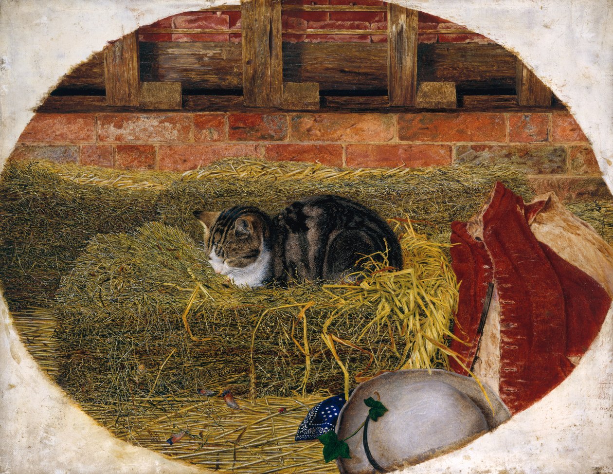 Catnap, 1858 od Rosa Brett