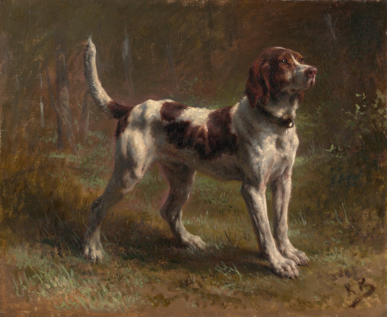 Bloodhound Briquet Hound, ca. 1856. od Rosa Bonheur