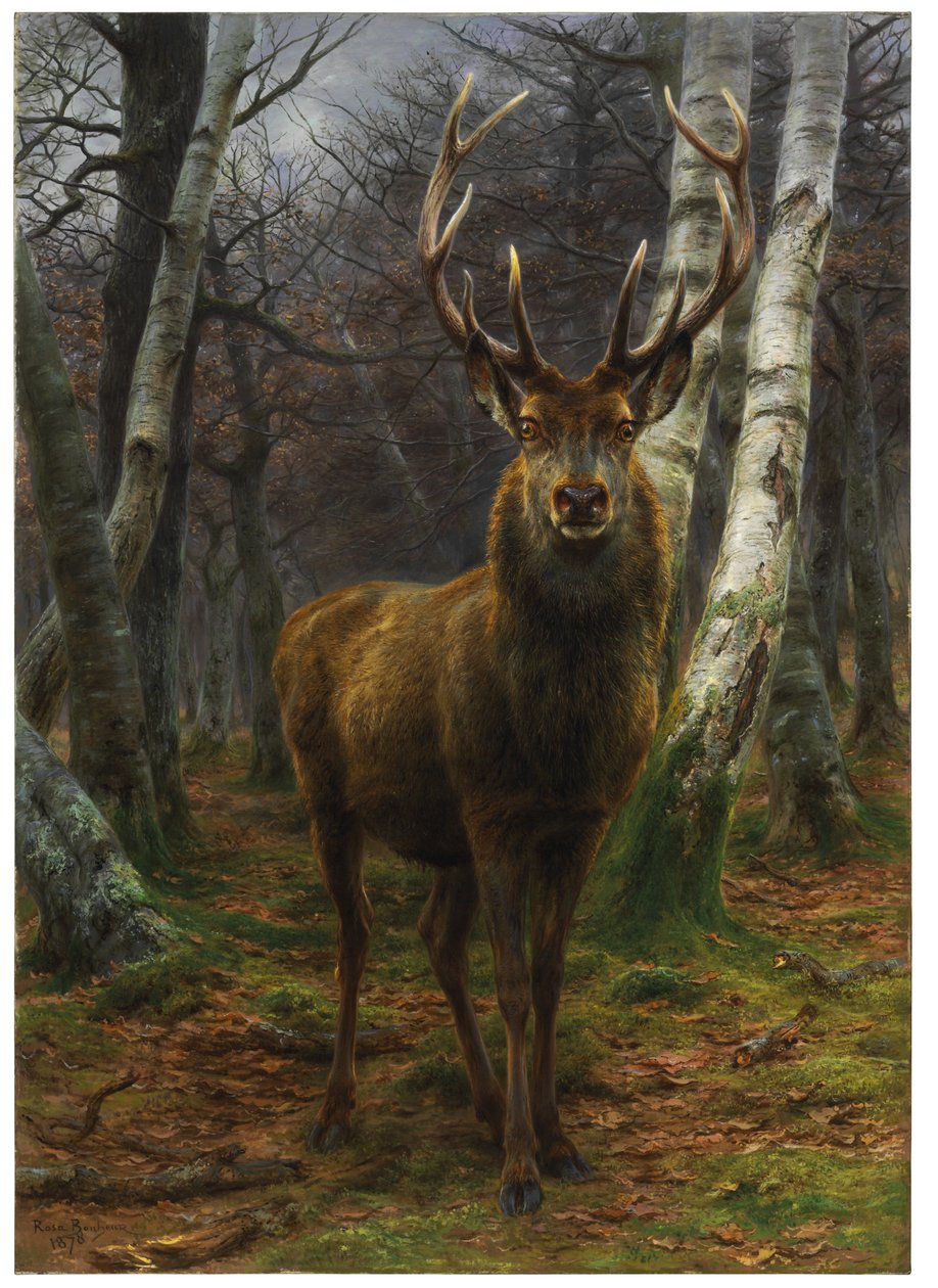 Král lesa, 1878 od Rosa Bonheur