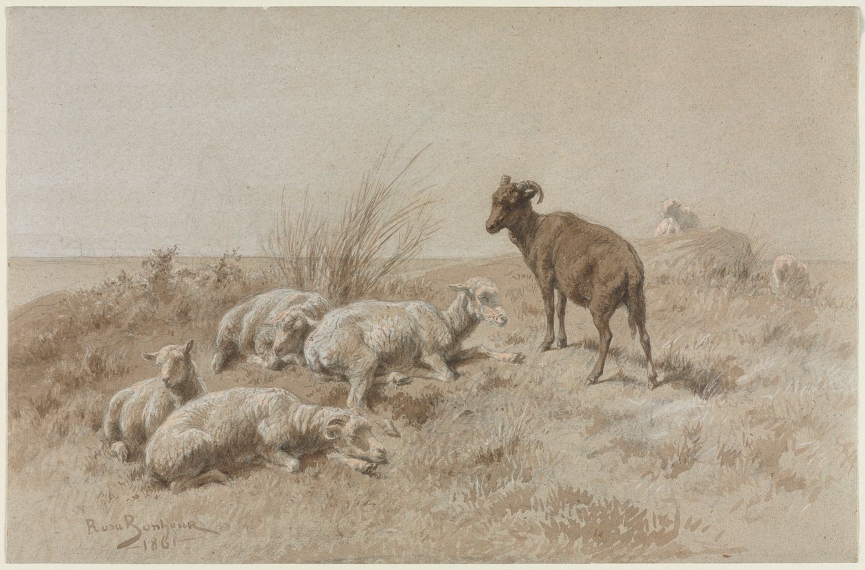 Ovce od Rosa Bonheur