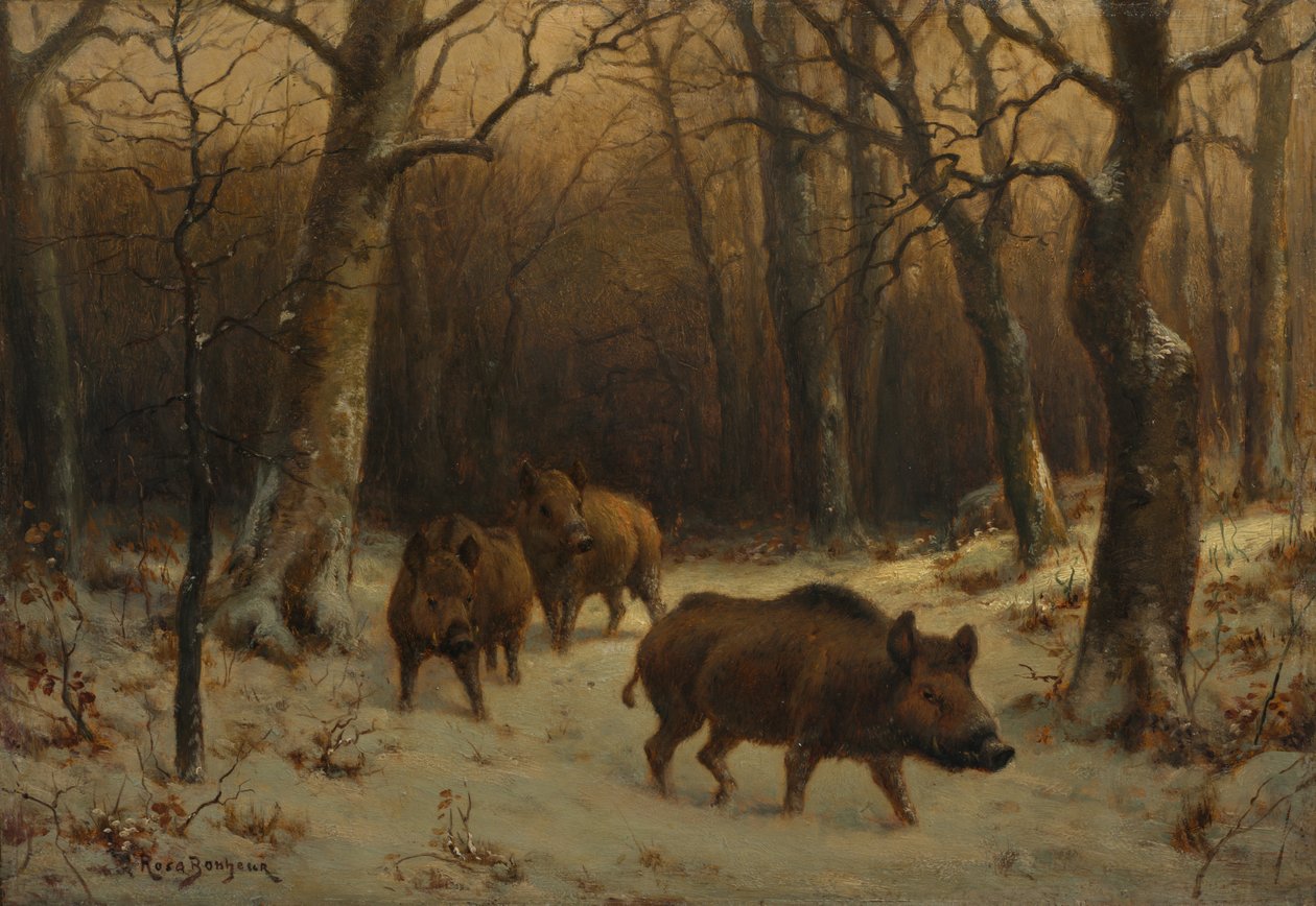 Divočáci ve sněhu od Rosa Bonheur