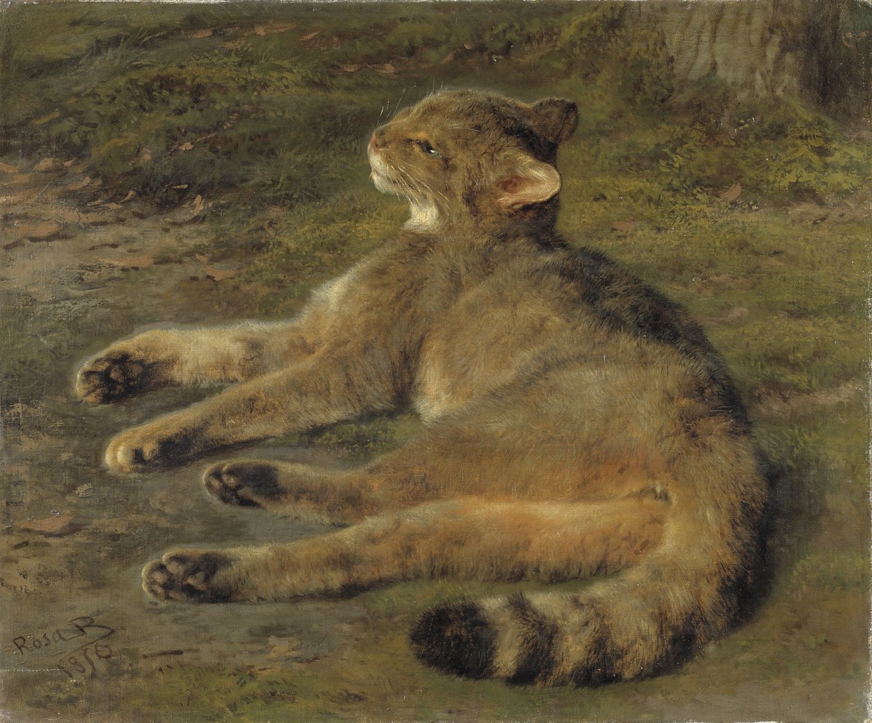 Divoká kočka, 1850 od Rosa Bonheur