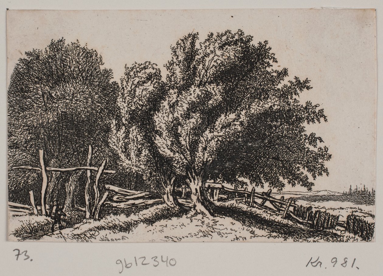 Krajina od Rosalie Holm