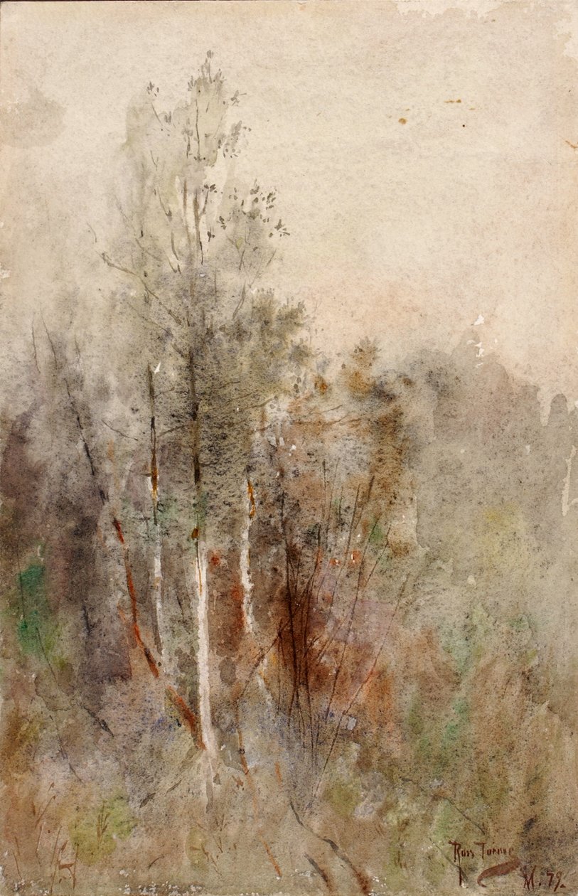 Stromová studie, 1879. od Ross Turner
