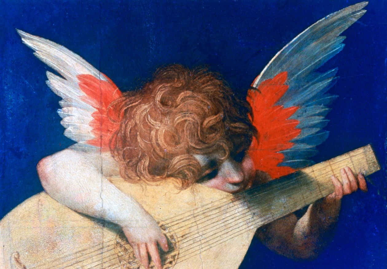 Angel Musician, c1520 od Rosso Fiorentino