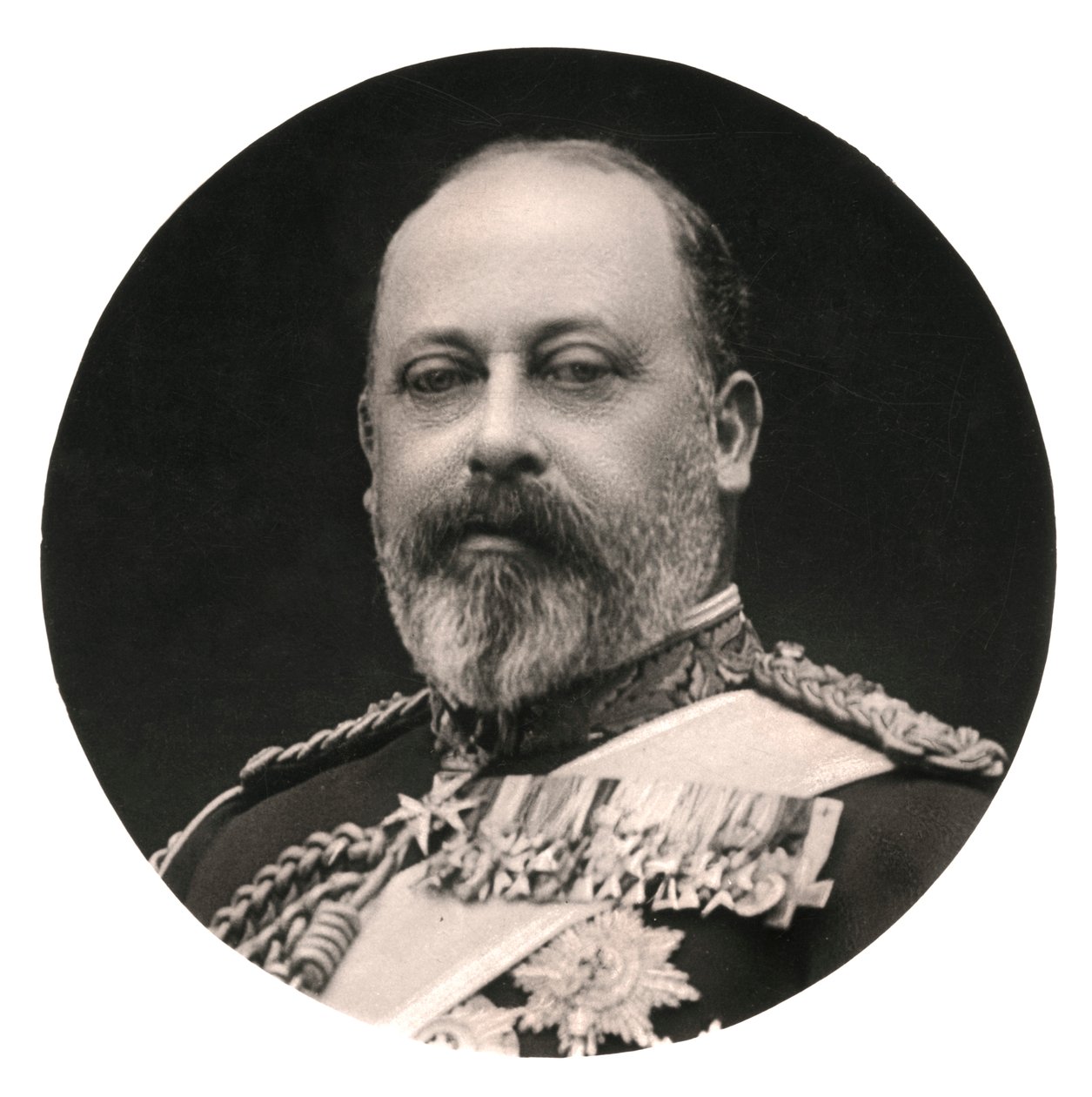 Král Edward VII, 20. století. od Rotary Photo