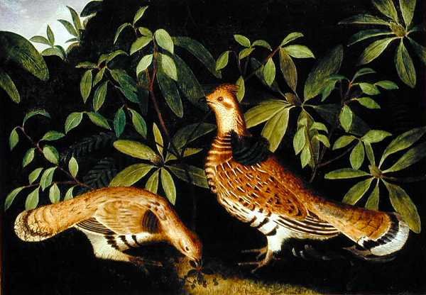 Dva tetřívci v podrostu od Rubens Peale