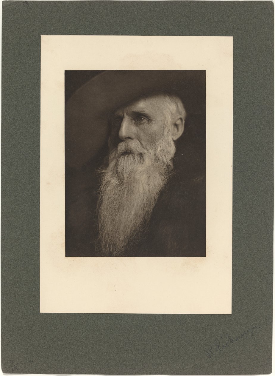 The Ranchman, 1901. od Rudolf Eickemeyer Jnr