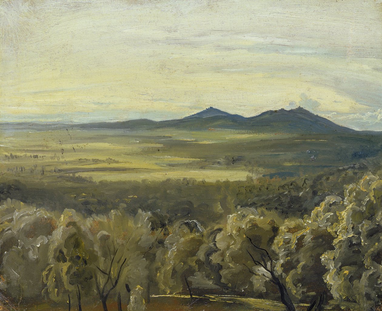 Italská krajina, 1833 (olej na papíře položeném na kartonu) od Rudolph Friedrich Wasmann