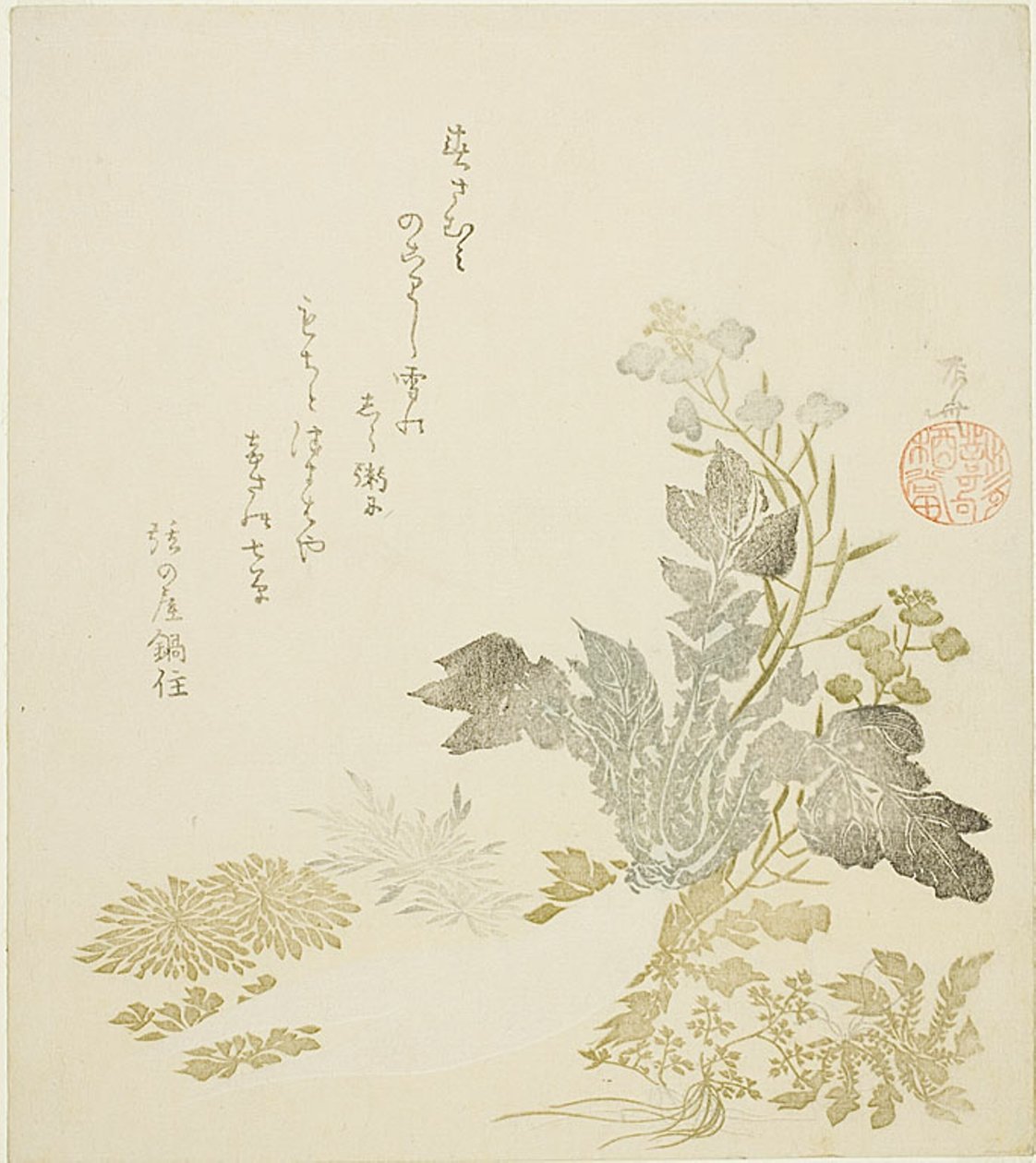 Obří ředkev (daikon), chryzantémy a kapradiny od Ryuryukyo Shinsai