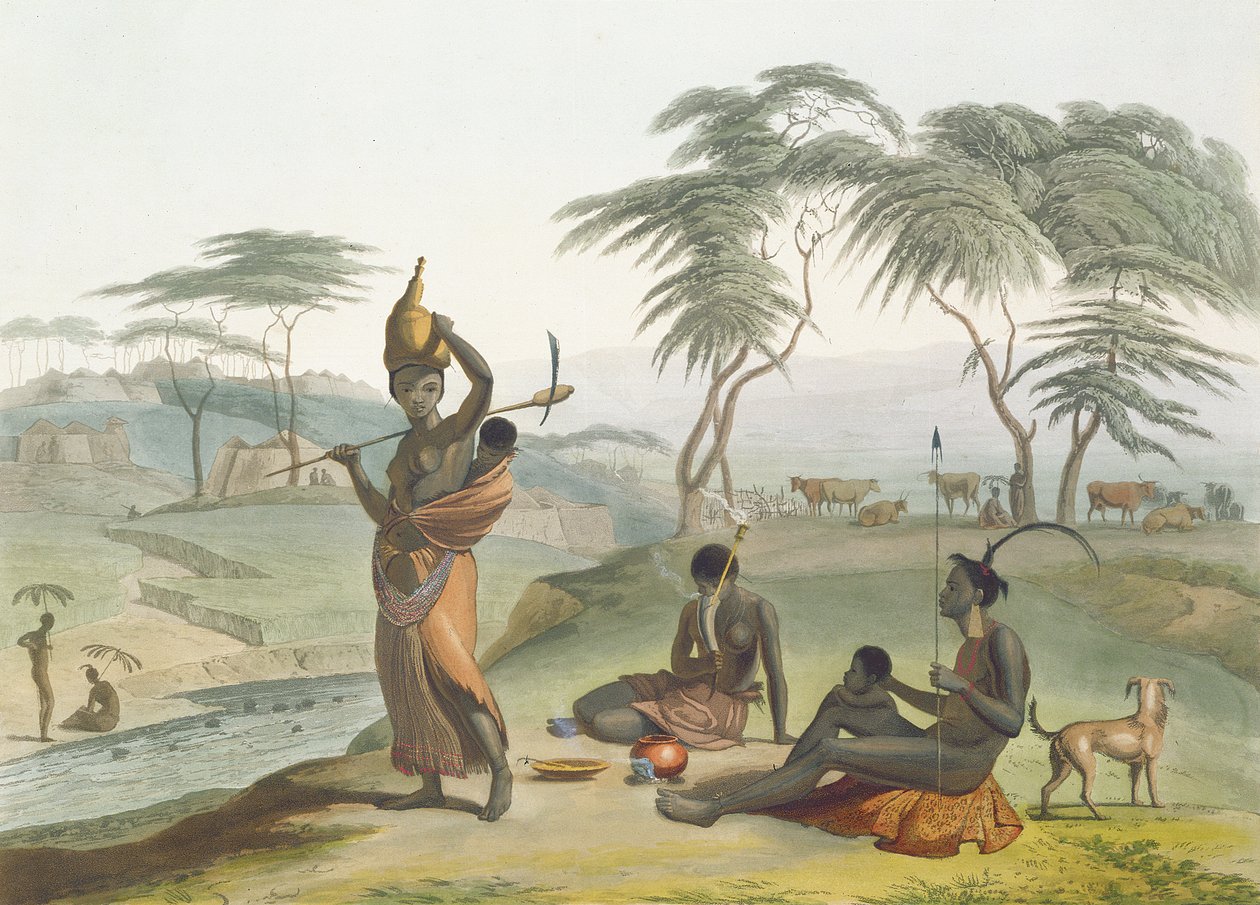 Boosh Wannahs, deska 8 z „African Scenery and Animals“, vyryto umělcem, 1804 (akvatinta) od Samuel Daniell