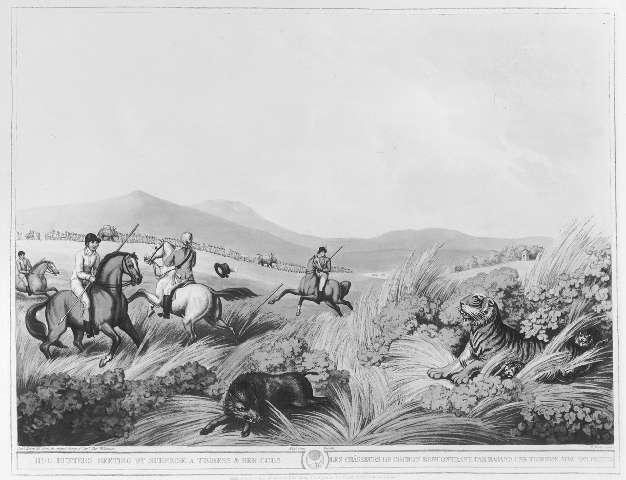 Setkání lovců prasat, od Překvapení, tygřice a její mláďata, vyryto H.Merkem (fl. 1800-20) podle originálního návrhu kapitána Thomase Williamsona, hospoda. Edward Orme (1774-c.1820) (bundw pho od Samuel Howett