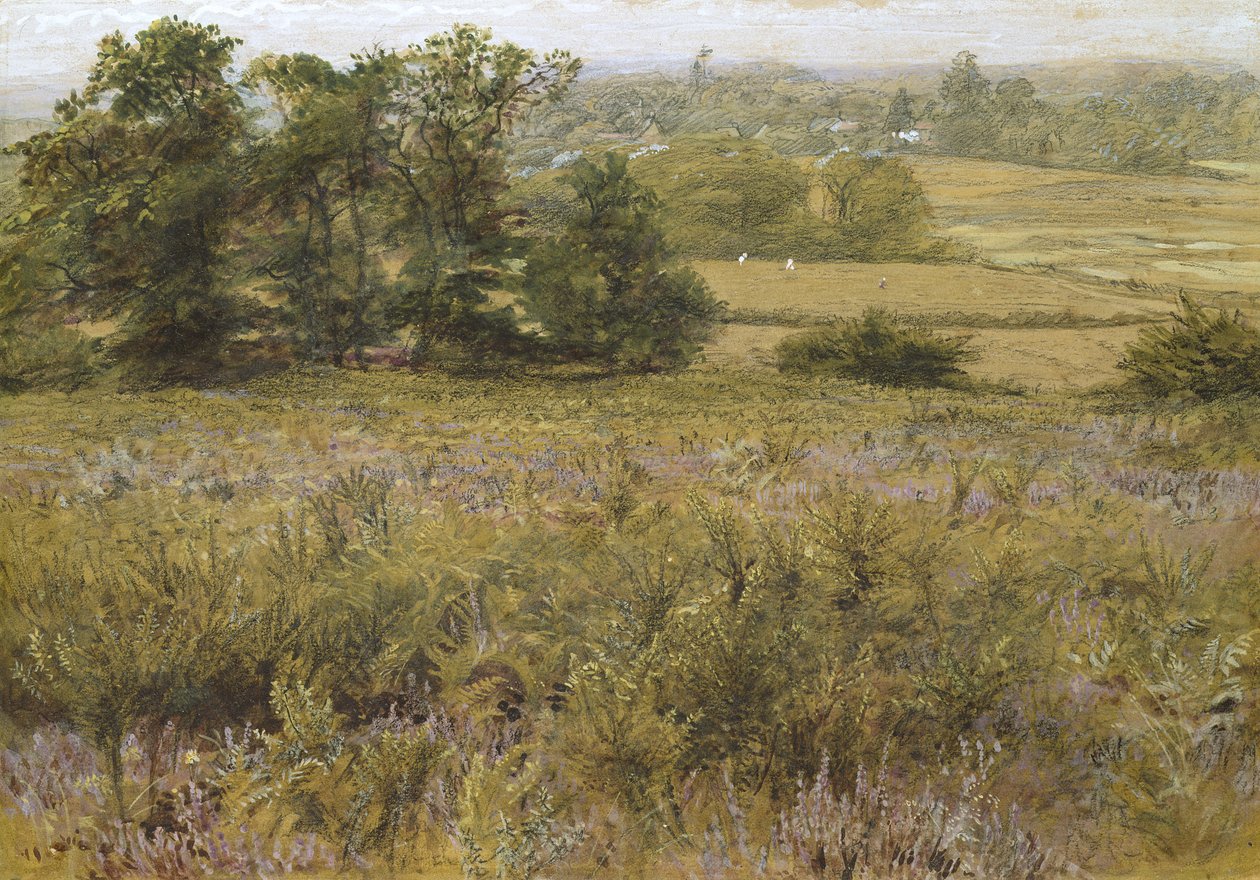 Furze Field, 19. století (akvarel) od Samuel Palmer
