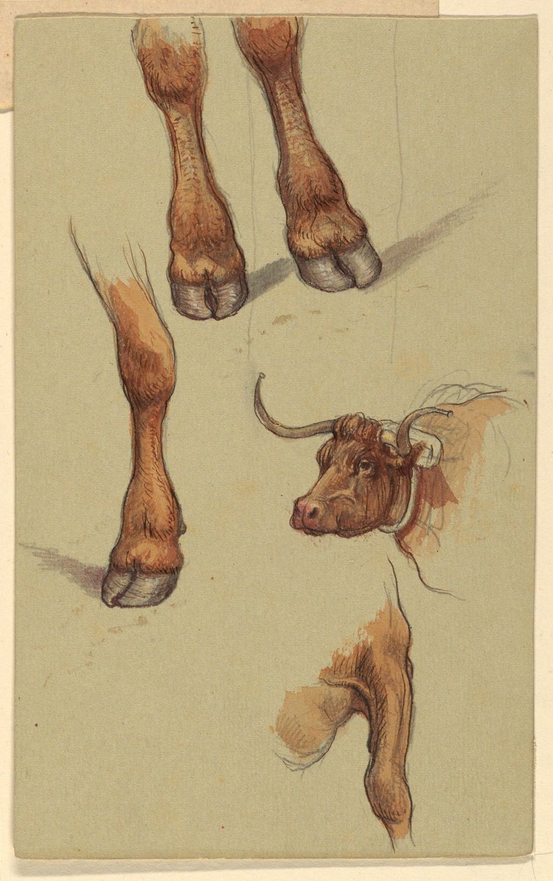 Kresba, Náčrtky z Narragensettu, Rhode Island., 1871 od Samuel Colman