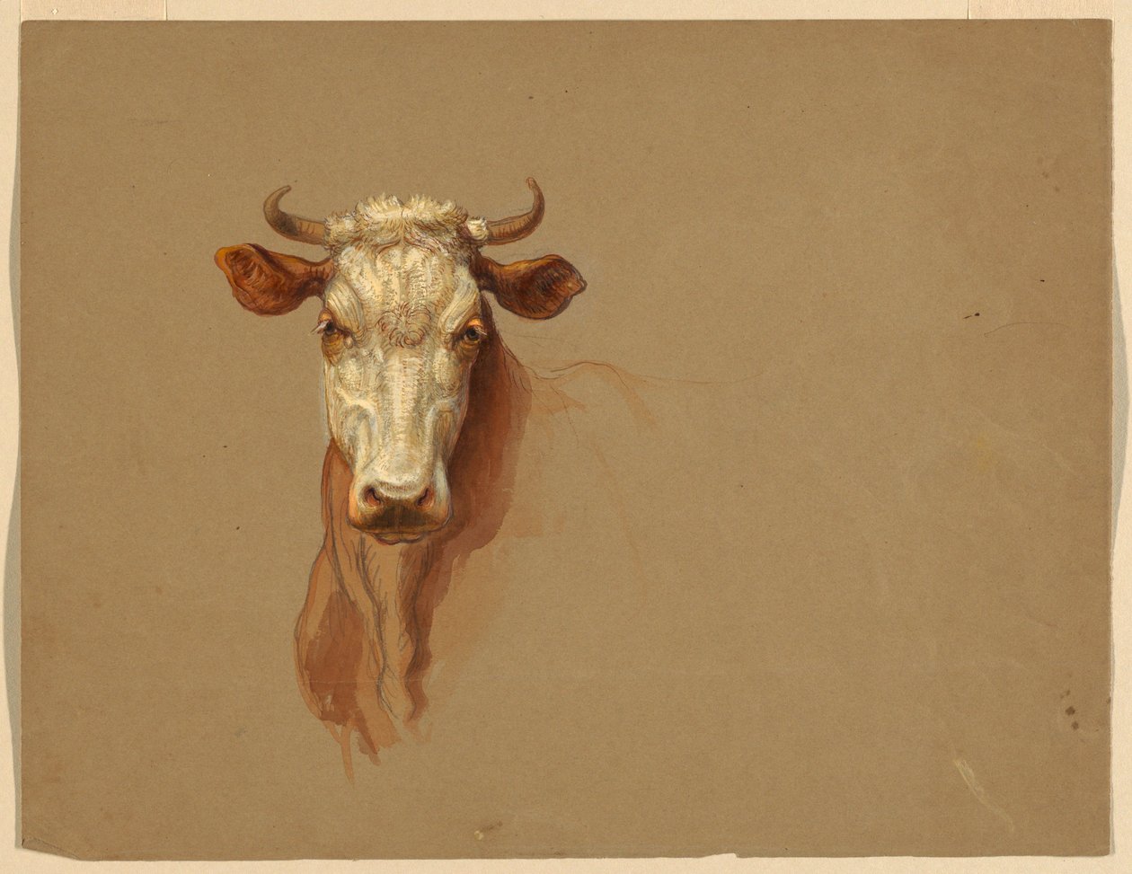 Kresba, Dvě studie.  Dobytek, 1876 od Samuel Colman