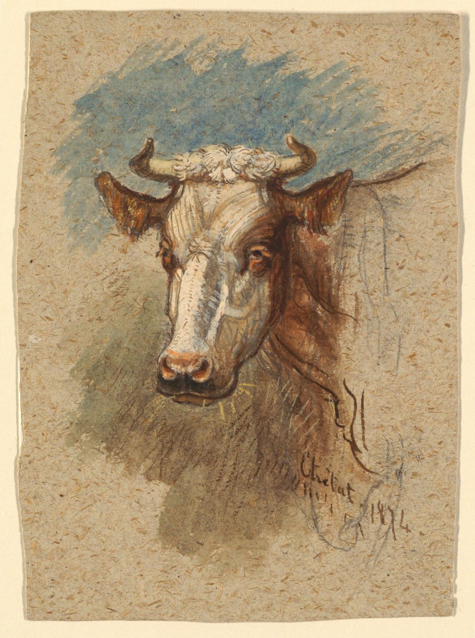 Hlava krávy, Étretat od Samuel Colman