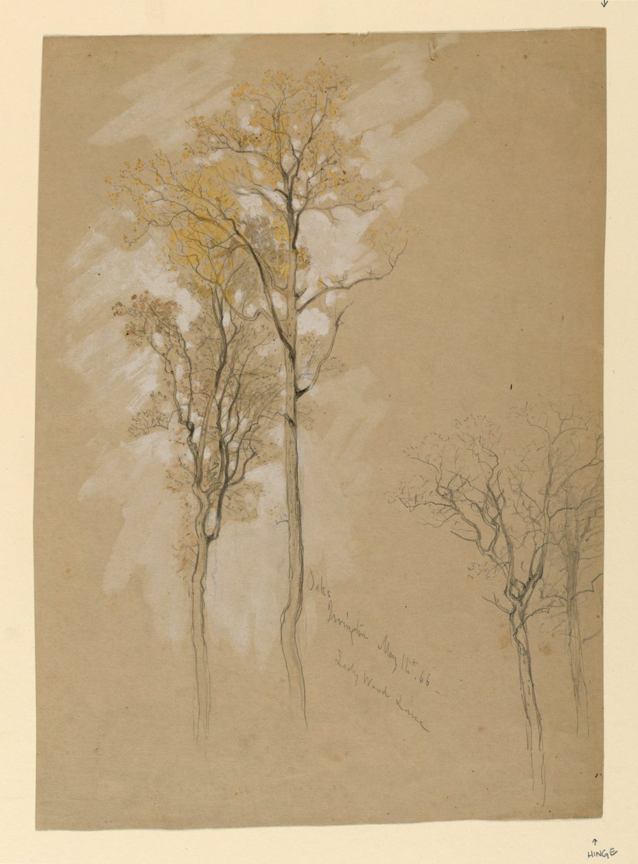 Oaks, Lady Wood Lane, Irvington od Samuel Colman