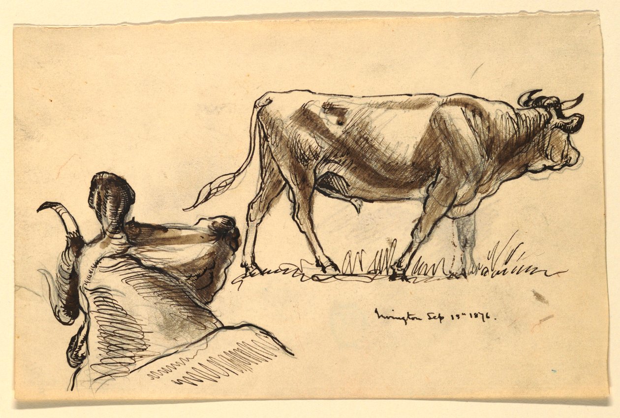 Sketches of Cattle, Irvington od Samuel Colman