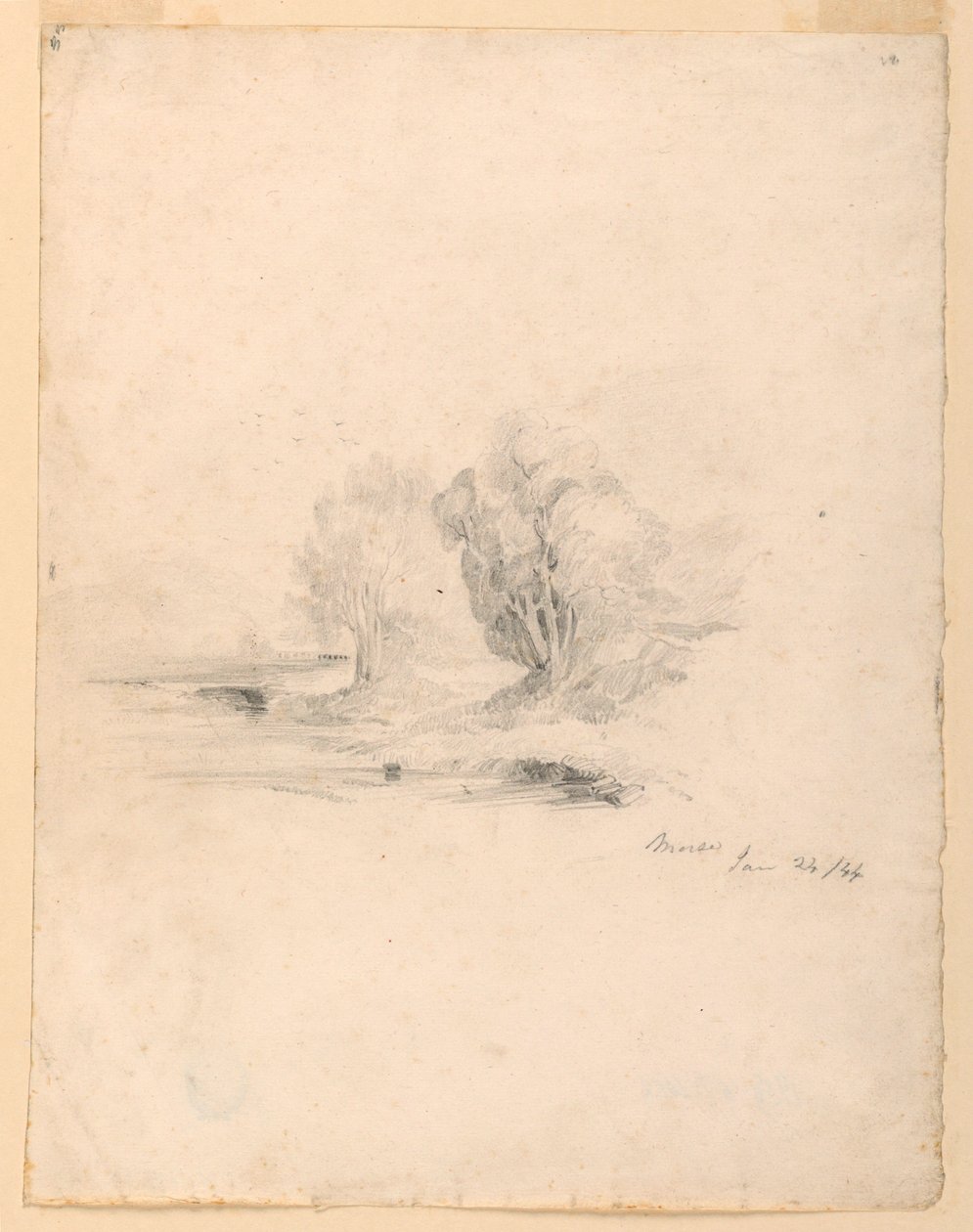 Potok a stromy od Samuel Finley Breese Morse