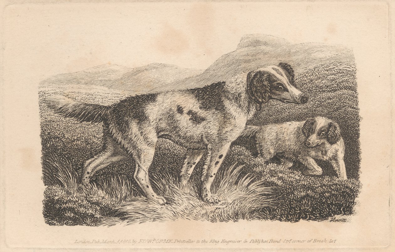 Dva psi od Samuel Howitt