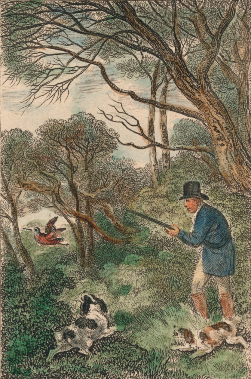 Woodcock Shooting, 1819. od Samuel Howitt