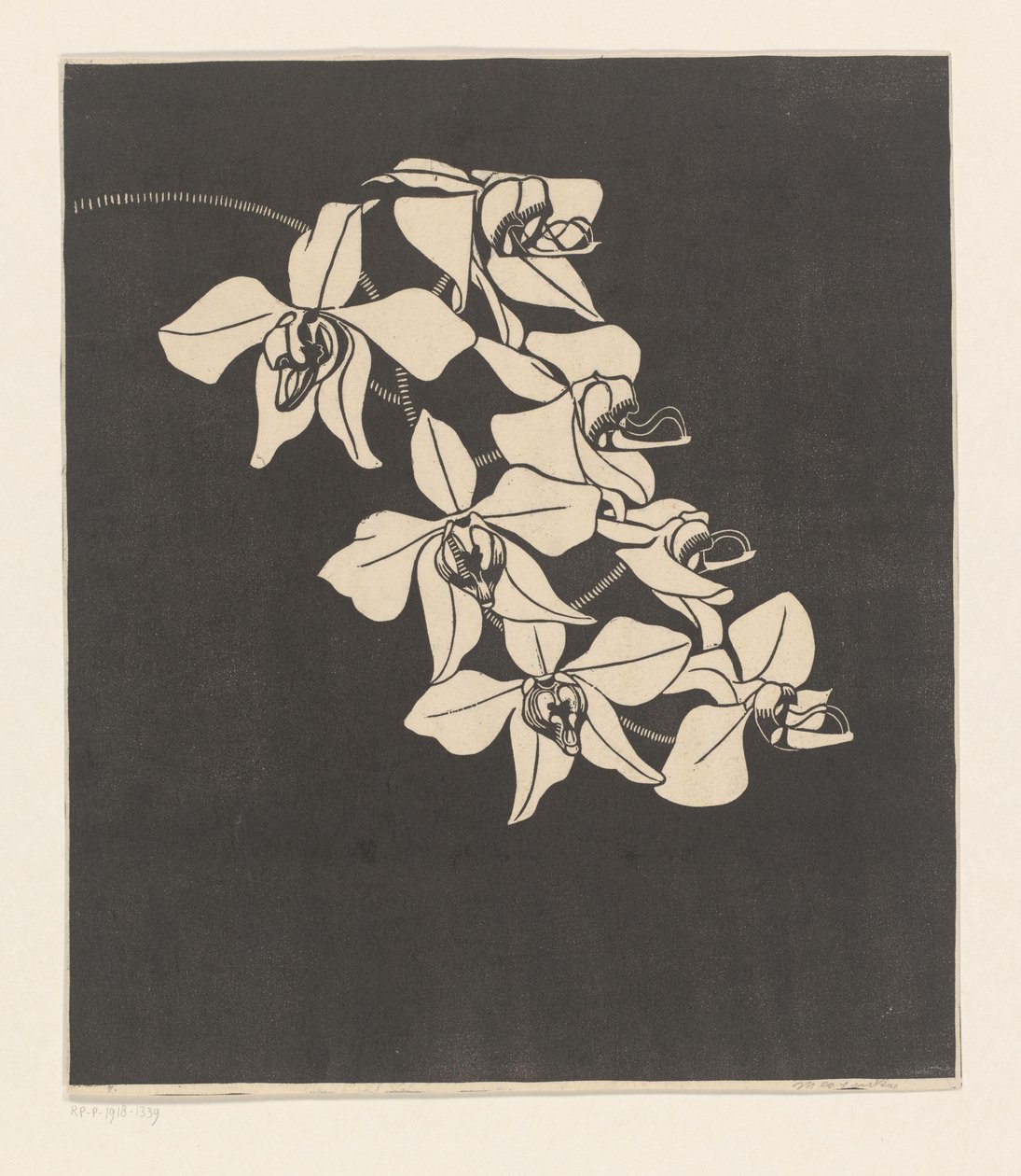 Orchideje od Samuel Jessurun de Mesquita (signed by artist)