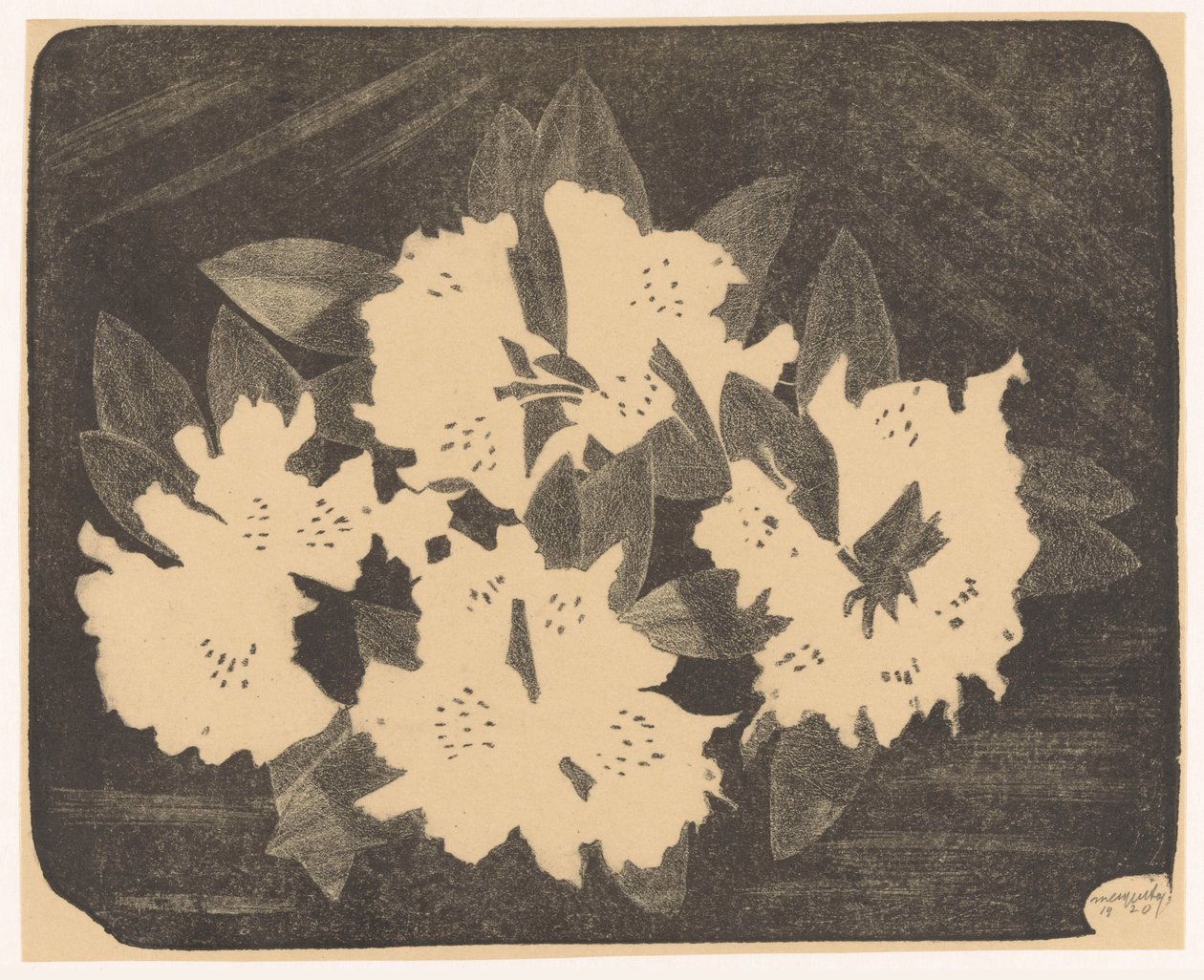 Rhododendron od Samuel Jessurun de Mesquita (signed by artist)