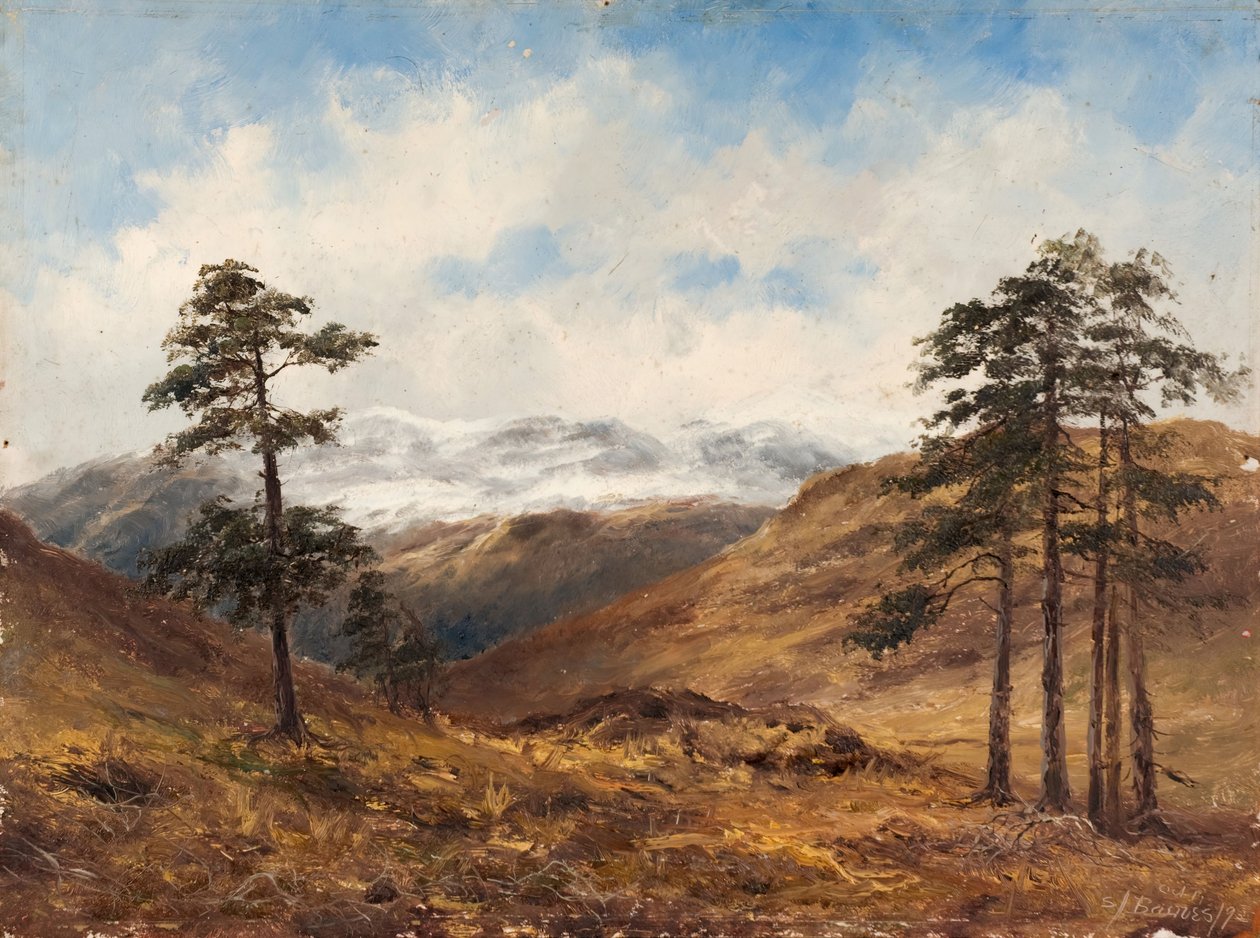 Poblíž Balmoral, 1893. od Samuel John Barnes