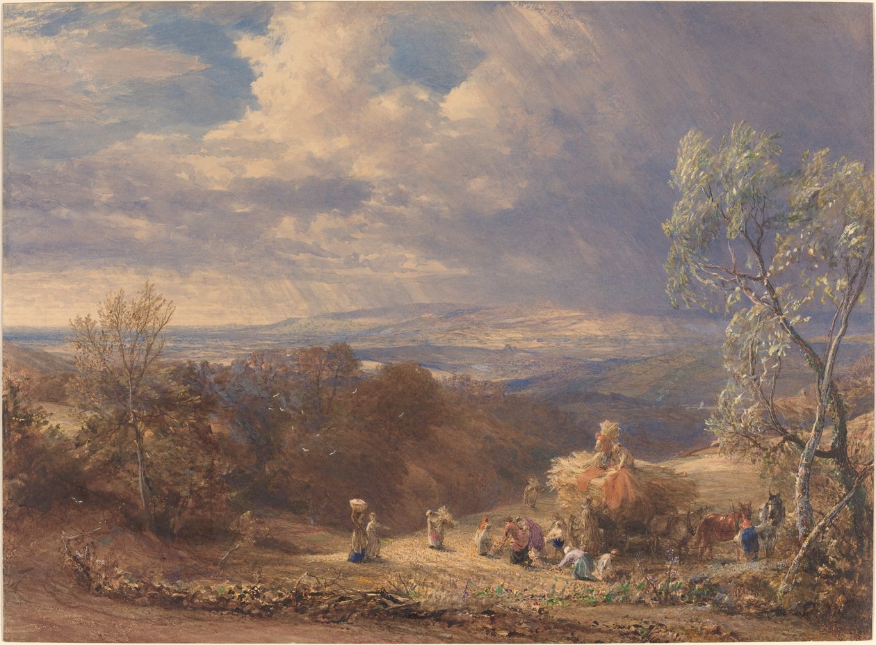Sklizeň od Samuel Palmer