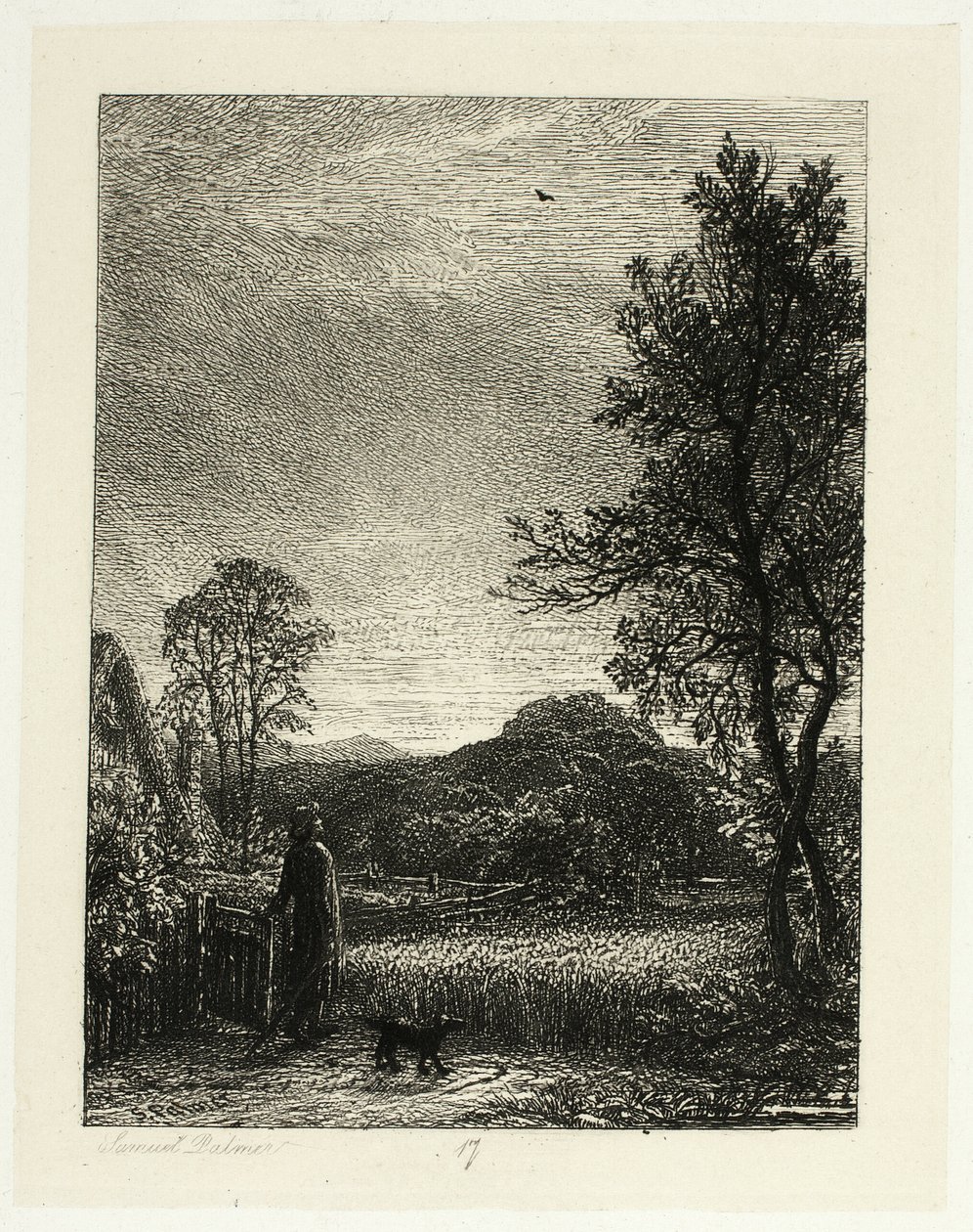 Skylark od Samuel Palmer