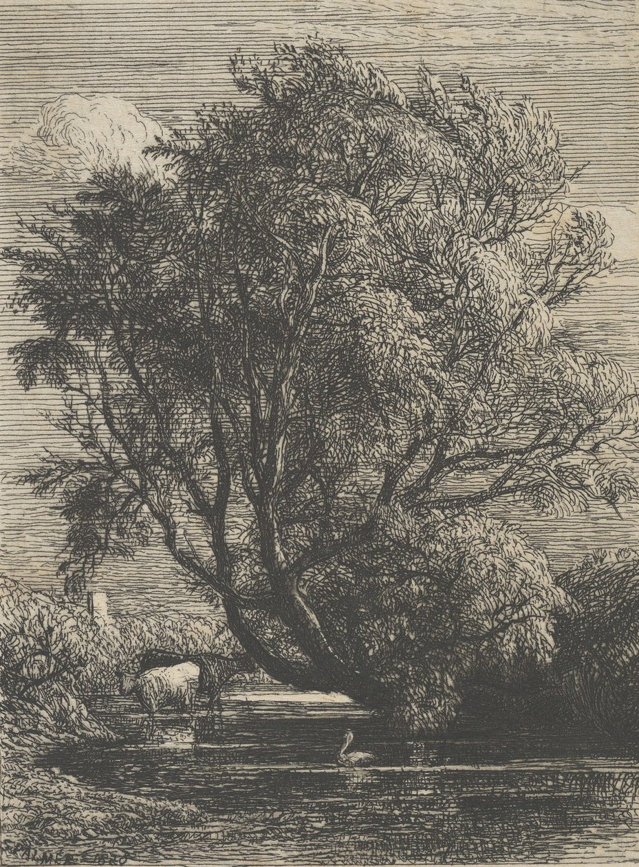 Vrba, 1850. od Samuel Palmer