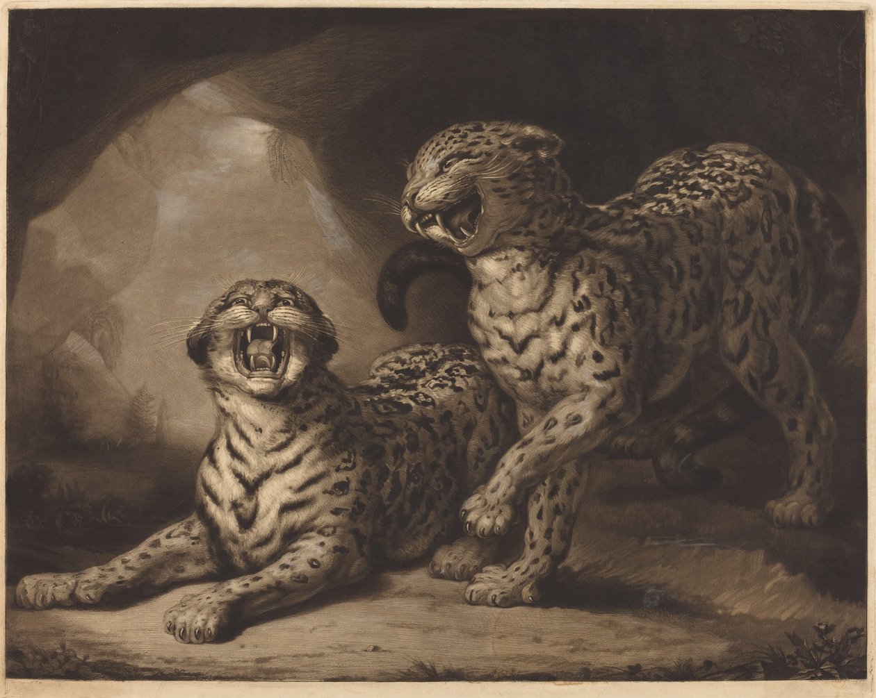 Leopardi od Samuel William Reynolds I after James Northcote