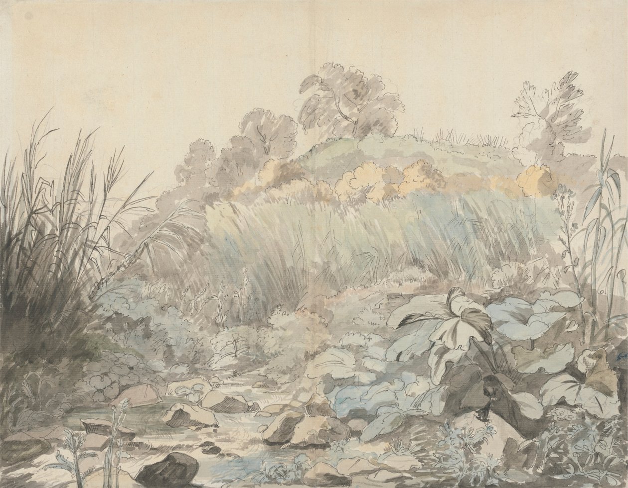 Rocky Stream od Samuel Woodforde