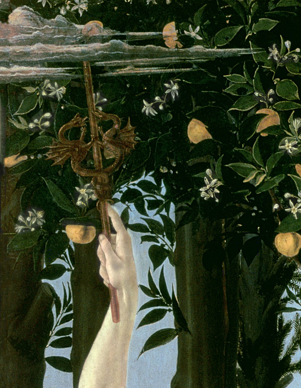 Primavera, c.1478, tempera na detailu panelu z 558 od Sandro Botticelli