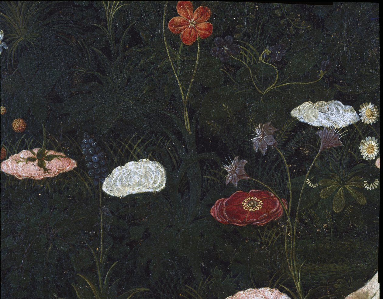 Primavera, c.1478, tempera na detailu panelu z 558 od Sandro Botticelli
