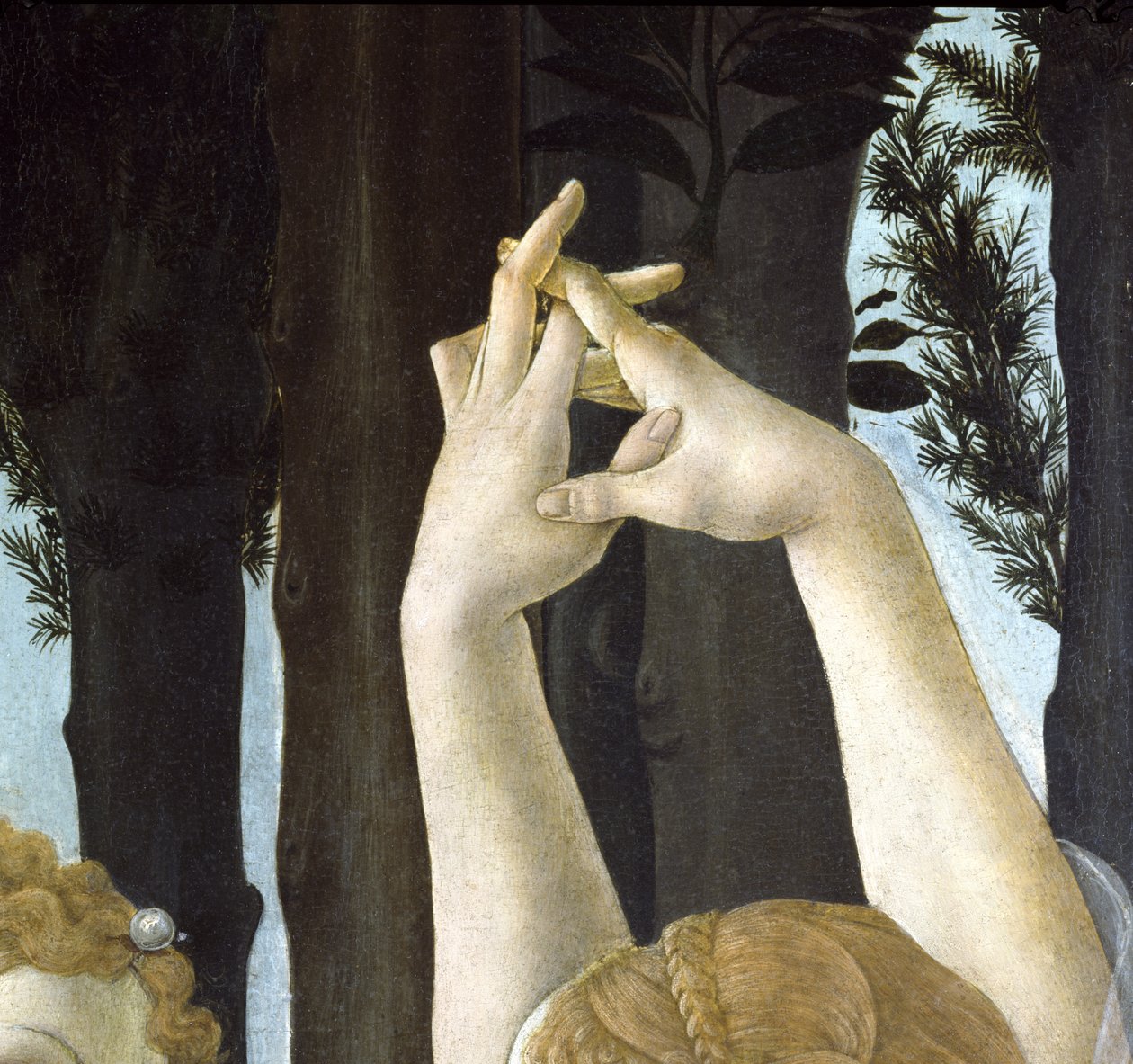Primavera, c.1478, tempera na detailu panelu z 558 od Sandro Botticelli