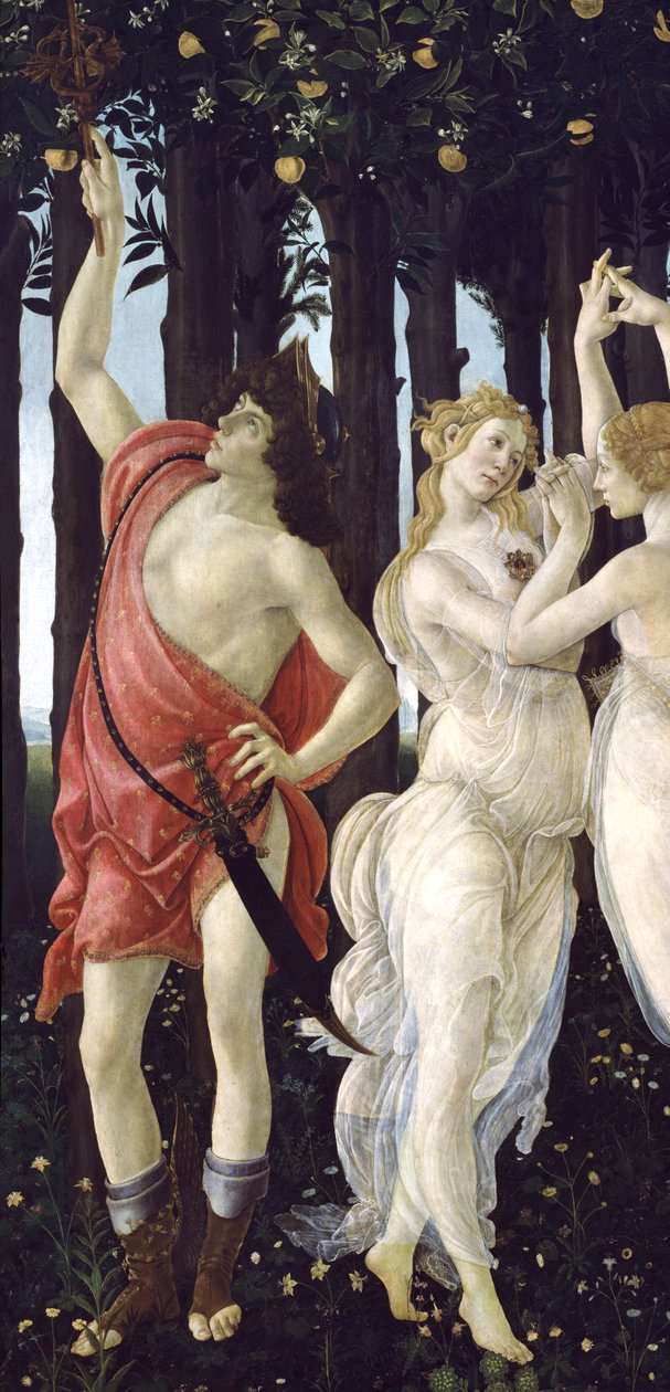 Primavera, c.1478,tempera na detail panelu 558 od Sandro Botticelli