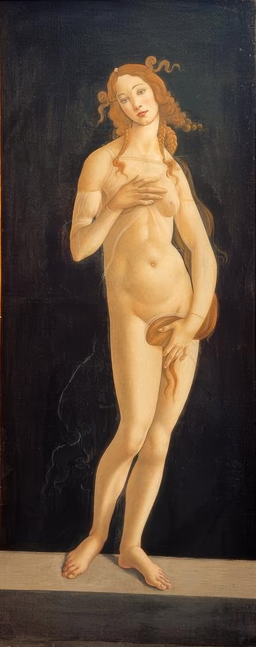 Venuše od Sandro Botticelli