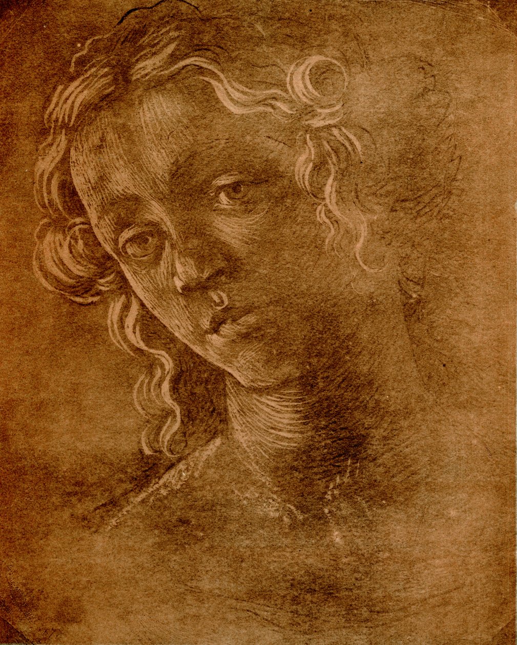 Ženská hlava od Sandro Botticelli